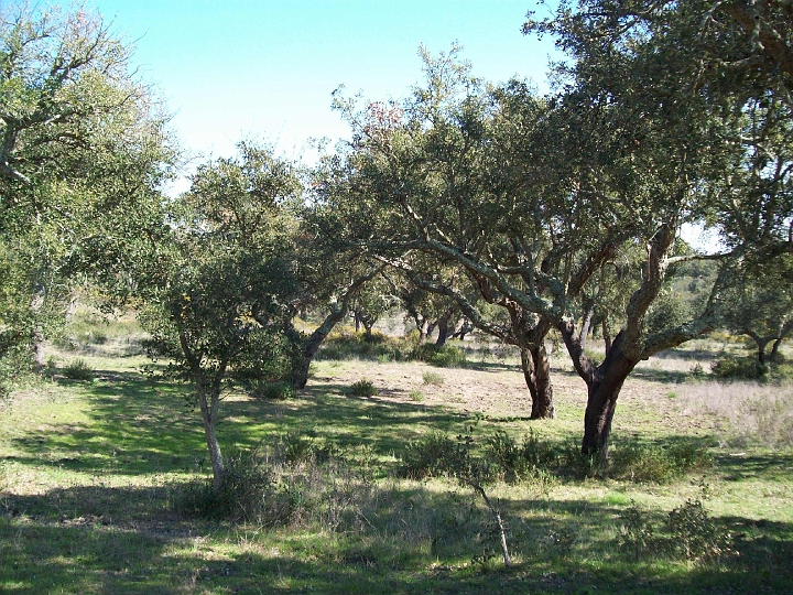 2009_portugal 217